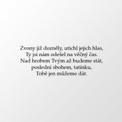 Text 46
